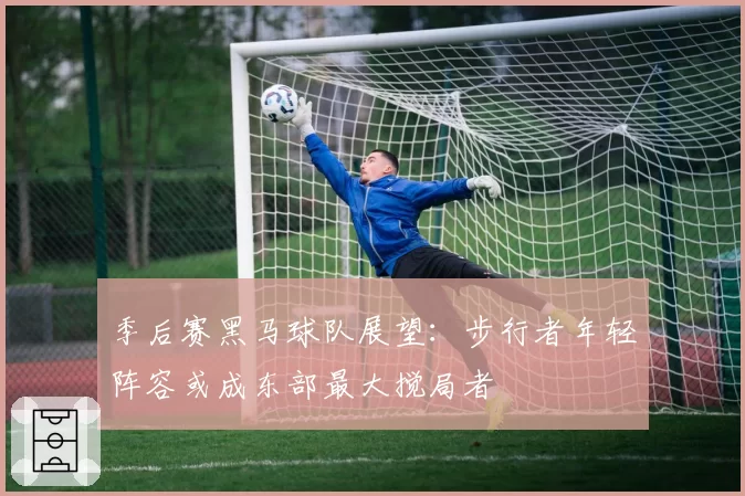 季后赛黑马球队展望:步行者年轻阵容或成东部最大搅局者